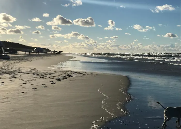 Aloza 7 Na Wydmie W Juracie Lägenhet *